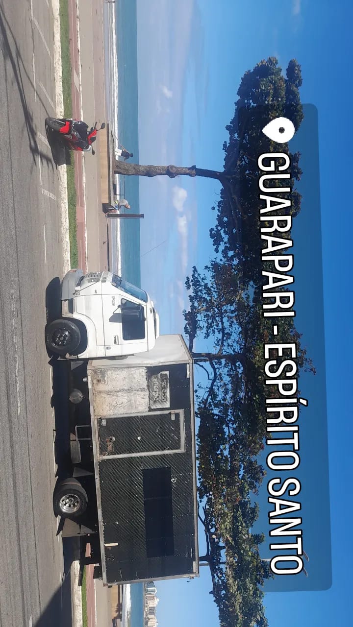 Foto de Caminhão de Diniz Transportes Fretes e Mudanças